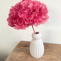 Preserved Hydrangea Stem