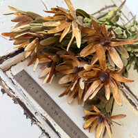 Outlet & Sample [flower stems / greenery]