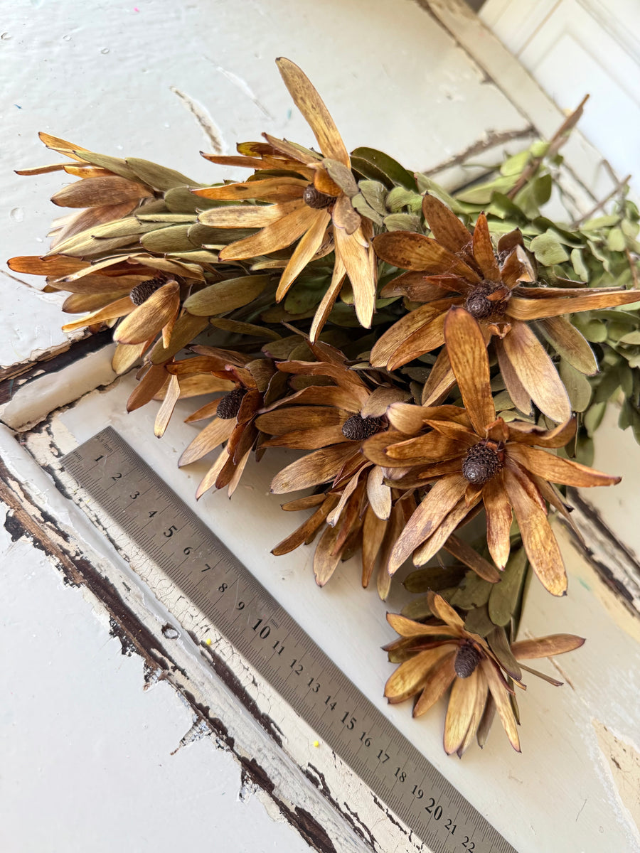 Outlet & Sample [flower stems / greenery]