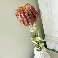 　[Deep & Natural Colours] Outlet & Samples