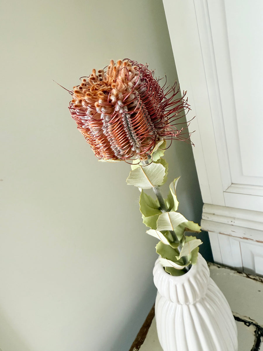 　[Deep & Natural Colours] Outlet & Samples