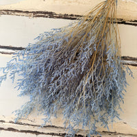 Soft / Vivid Hue Preserved Limonium | Misty | Sea Lavender