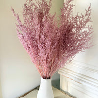 Soft / Vivid Hue Preserved Limonium | Misty | Sea Lavender