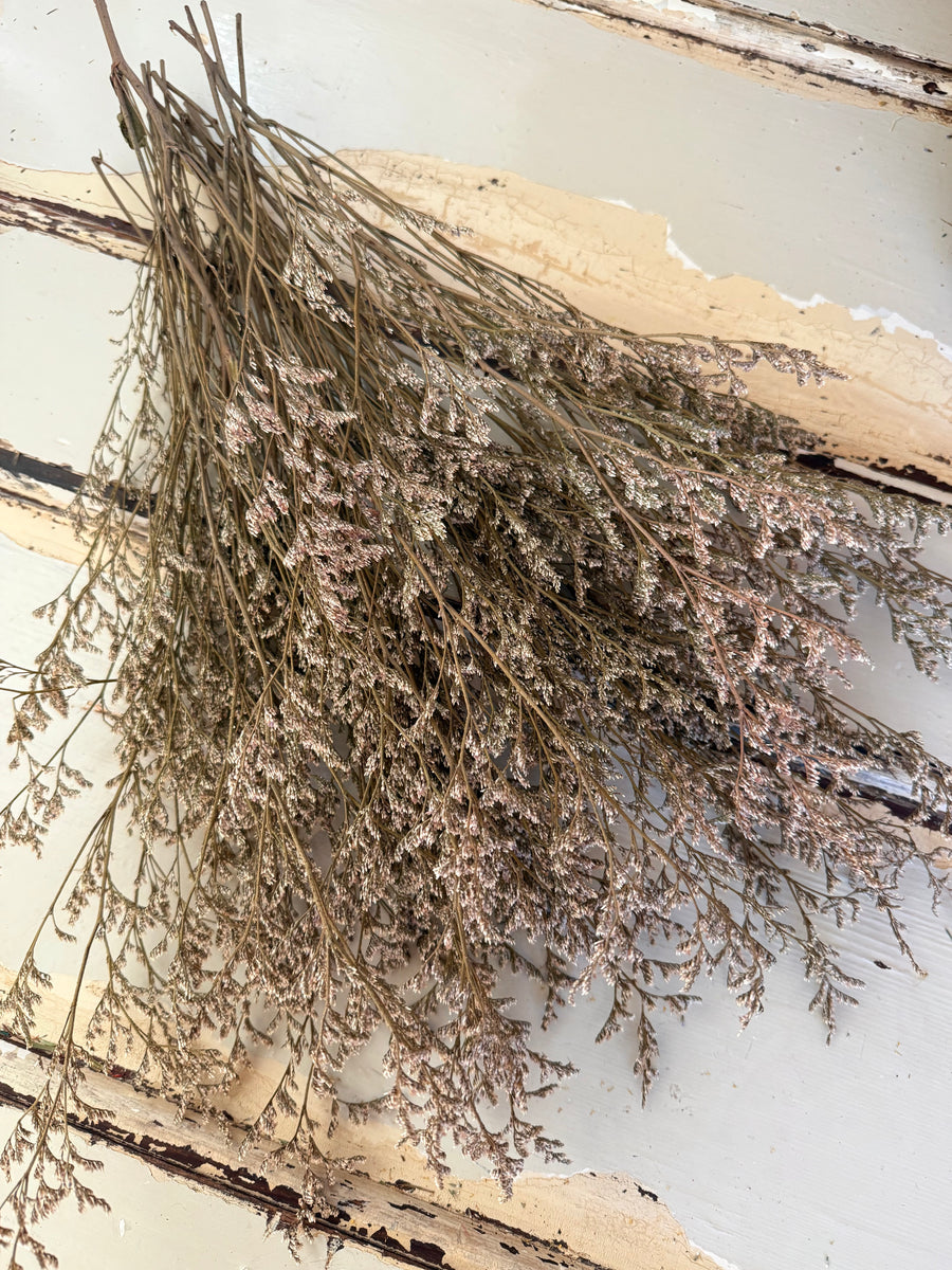 Naturally Dried  / Prserved Misty | Limonium | Sea Lavender