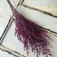 Naturally Dried  / Prserved Misty | Limonium | Sea Lavender