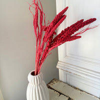 Outlet & Sample [flower stems / greenery]