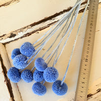 Outlet & Sample [flower stems / greenery]