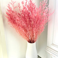 Soft / Vivid Hue Preserved Limonium | Misty | Sea Lavender
