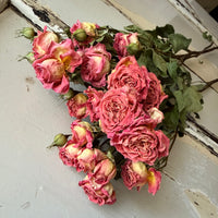 Dried Spray Mini Rose