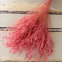 Soft / Vivid Hue Preserved Limonium | Misty | Sea Lavender