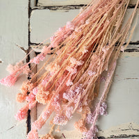 Outlet & Sample [flower stems / greenery]
