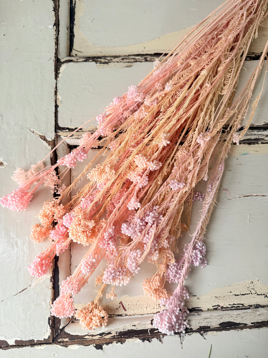 Outlet & Sample [flower stems / greenery]