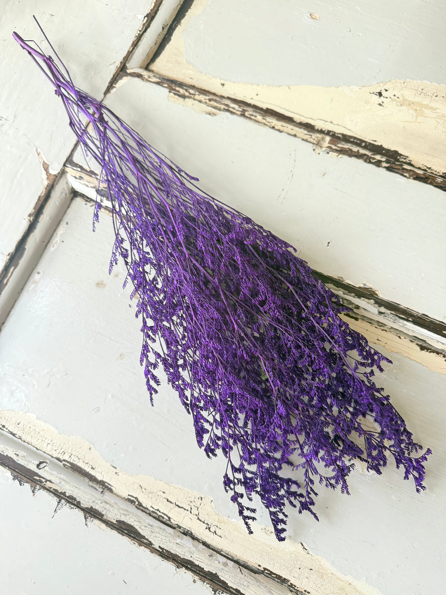 Soft / Vivid Hue Preserved Limonium | Misty | Sea Lavender