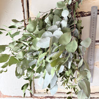 Dried Gum / Eucalyptus - natural green