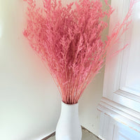 Soft / Vivid Hue Preserved Limonium | Misty | Sea Lavender