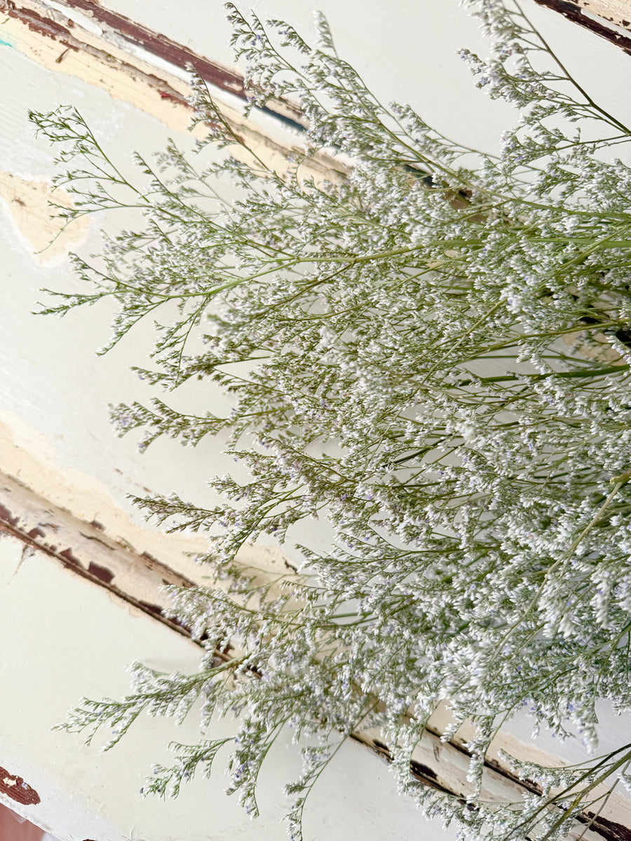 Naturally Dried  / Prserved Misty | Limonium | Sea Lavender