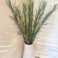 直销店 &amp; 样品 [花茎 / 绿叶]