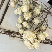 Dried Spray Mini Rose