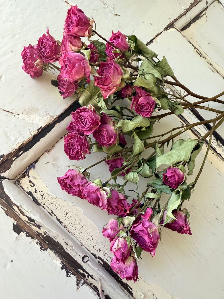 Naturally Dried Rose