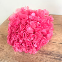 Preserved Hydrangea Stem