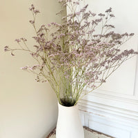 Naturally Dried  / Prserved Misty | Limonium | Sea Lavender