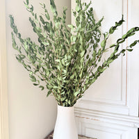 [VIC - Pickup / Local Delivery Only ] LONG Dried Eucalyptus / Gum - natural green
