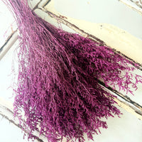 Naturally Dried  / Prserved Misty | Limonium | Sea Lavender