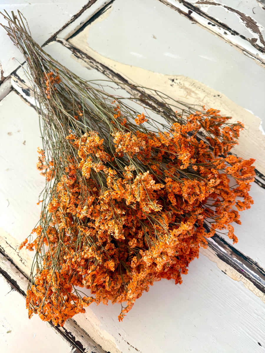 Preserved Crystal Grass / Caspea