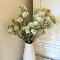 Naturally Dried Philyca Flowers - natural green beige