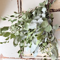 Dried Gum / Eucalyptus - natural green