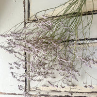 Naturally Dried  / Prserved Misty | Limonium | Sea Lavender