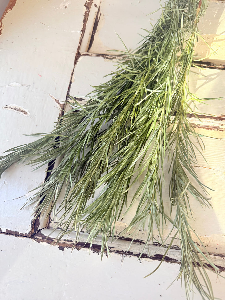 直销店 & 样品 [花茎 / 绿叶]