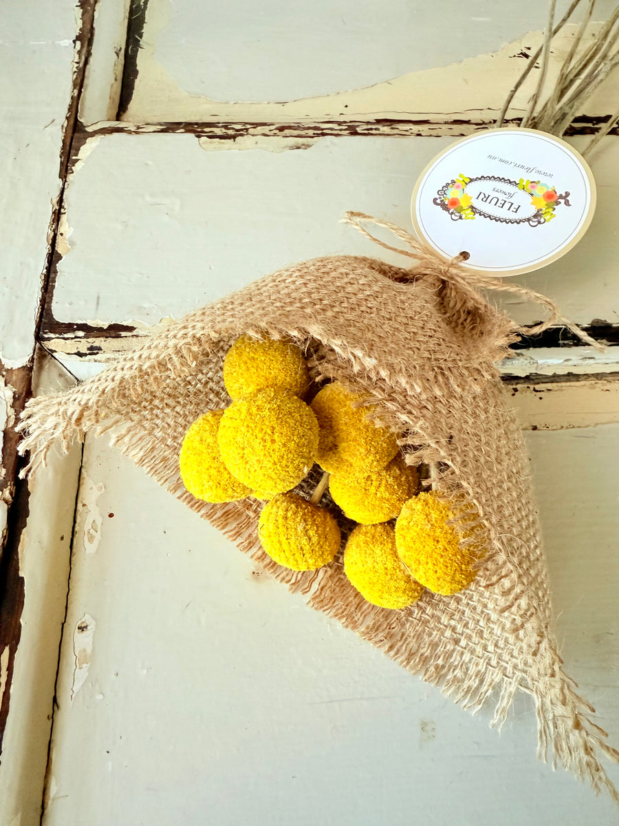 Everlasting Naturally Dried Billy Button Bouquet