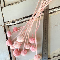 Outlet & Sample [flower stems / greenery]