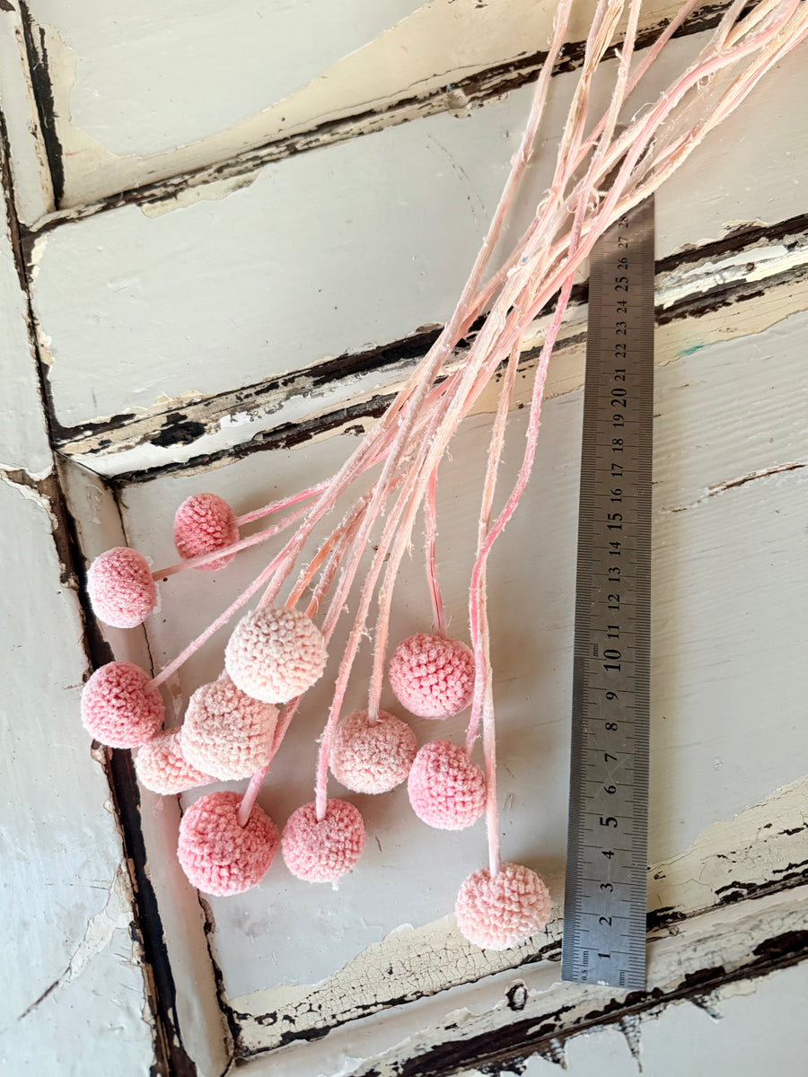 Outlet & Sample [flower stems / greenery]
