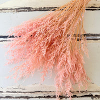 Soft / Vivid Hue Preserved Limonium | Misty | Sea Lavender