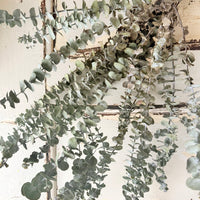 [Deep & Natural Colours] Outlet & Samples