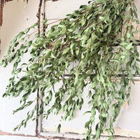 [VIC - Pickup / Local Delivery Only ] LONG Dried Eucalyptus / Gum - natural green