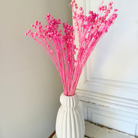 Outlet & Sample [flower stems / greenery]