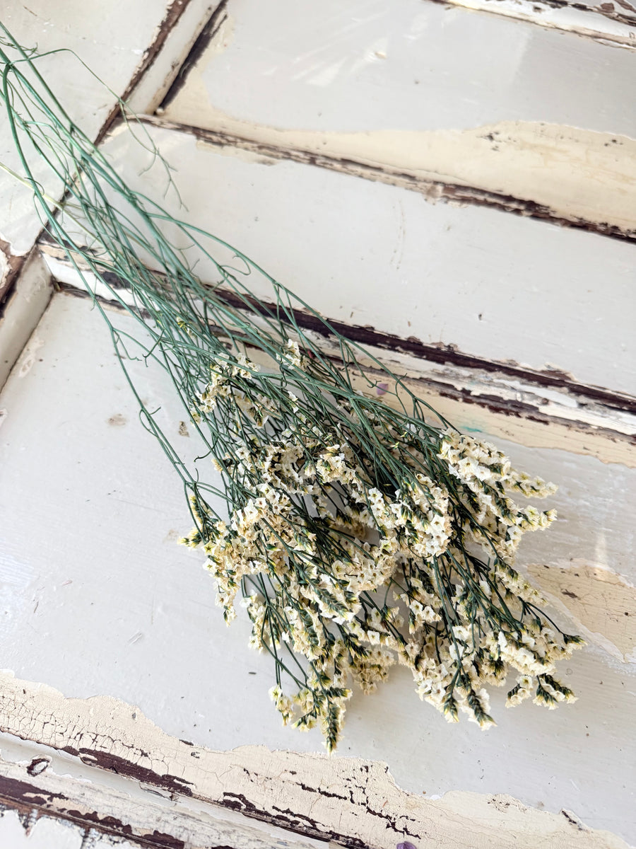 Preserved Crystal Grass / Caspea