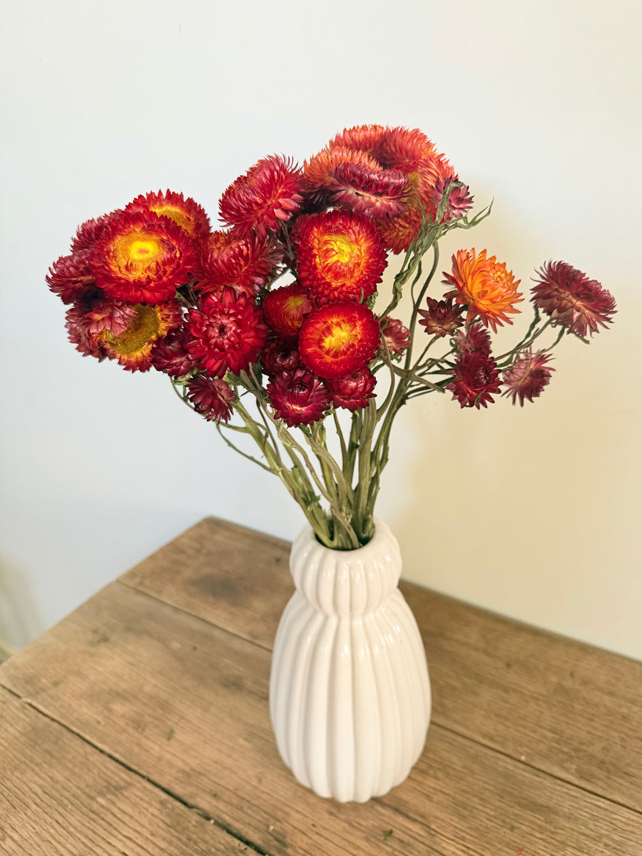 Naturally Dried Helichrysum - Everlasting / Paper Daisy / Strawflower - stems / heads