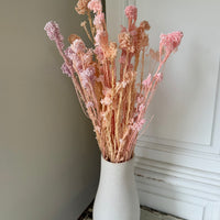 Outlet & Sample [flower stems / greenery]