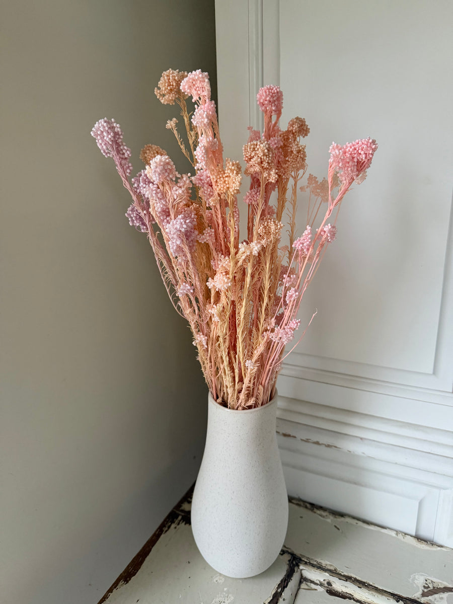 Outlet & Sample [flower stems / greenery]