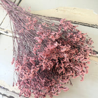 Preserved Crystal Grass / Caspea