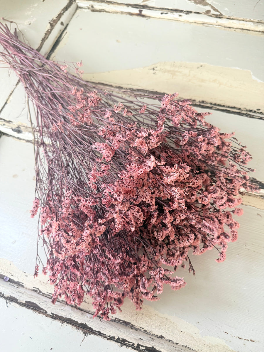 Preserved Crystal Grass / Caspea