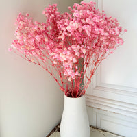 Preserved Baby's Breath