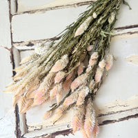 　[Deep & Natural Colours] Outlet & Samples