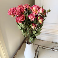 Dried Spray Mini Rose