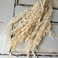 Outlet & Sample [flower stems / greenery]