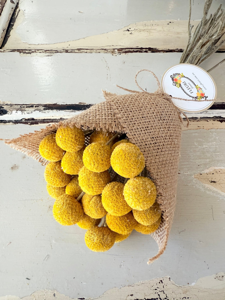 Everlasting Naturally Dried Billy Button Bouquet